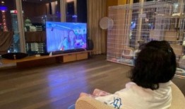 深圳cc宝贝爆料视频,揭秘网红幕后生活